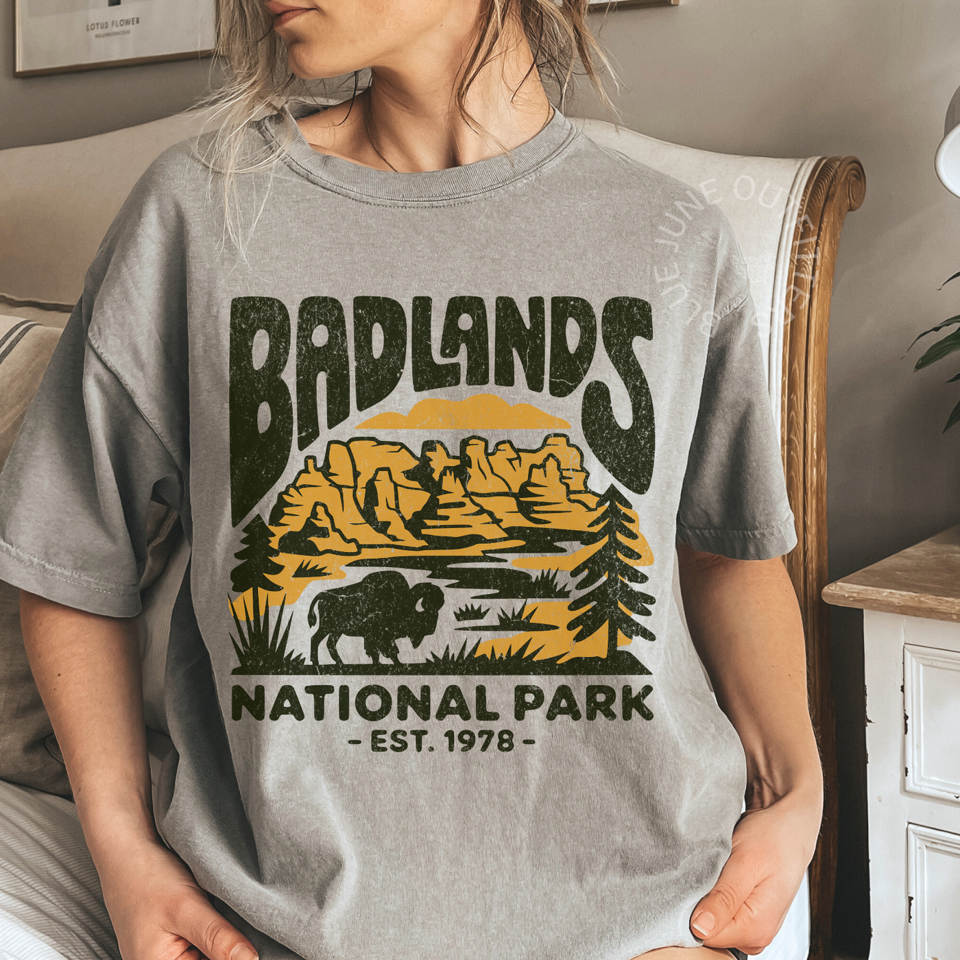 Badlands National Park Tee | Vintage South Dakota Graphic Shirt