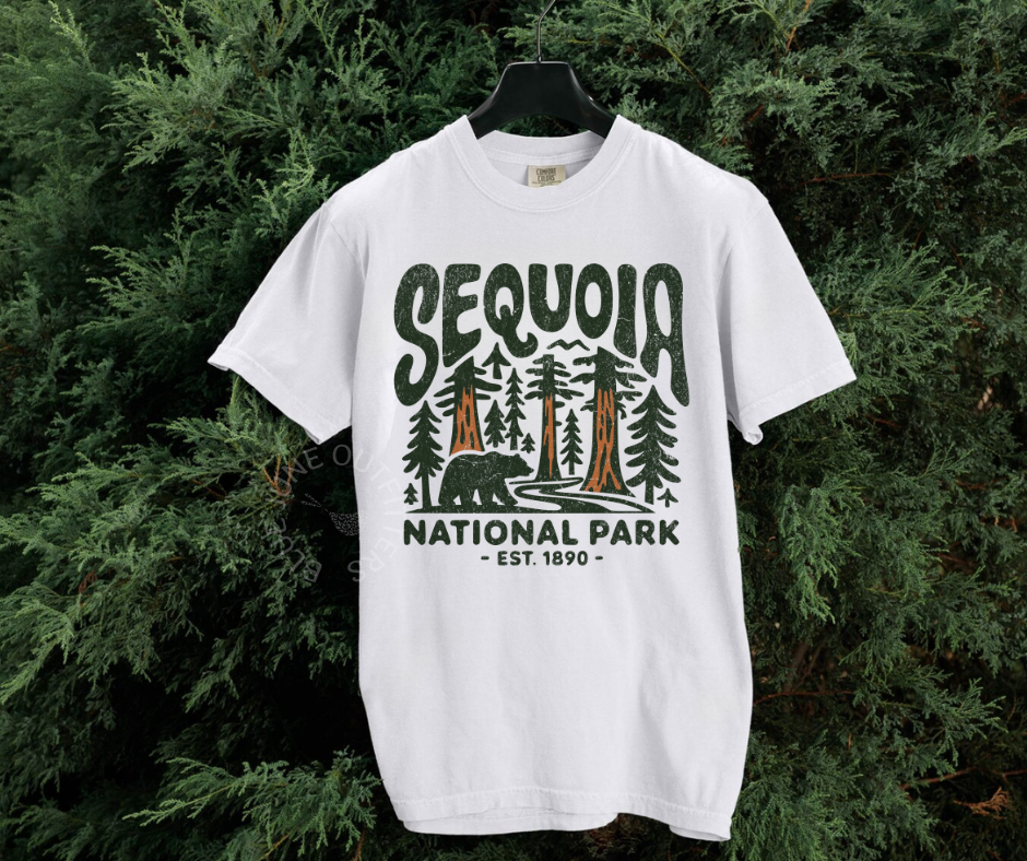 Sequoia National Park Graphic Tee | National Park Aesthetic