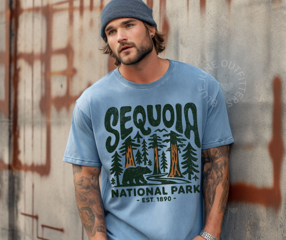 Sequoia National Park Graphic Tee | National Park Aesthetic
