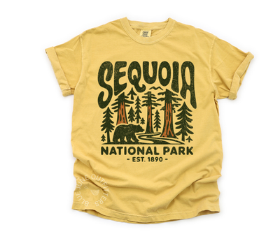 Sequoia National Park Graphic Tee | National Park Aesthetic