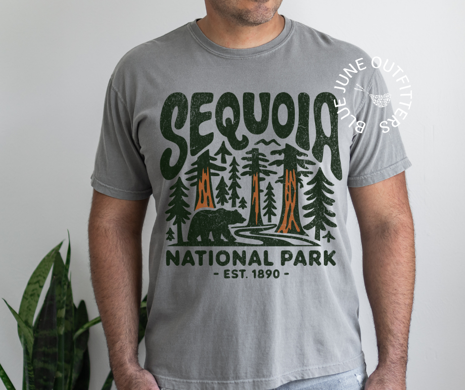 Sequoia National Park Graphic Tee | National Park Aesthetic