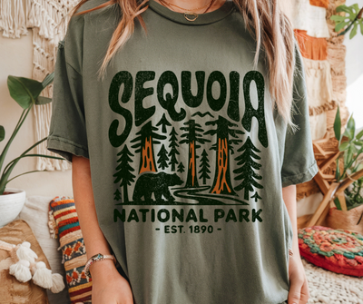 Sequoia National Park Graphic Tee | National Park Aesthetic