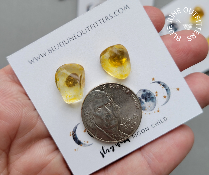 Another pair of turquoise earrings next to an United States nickel for size reference. Each one is approximately 1/2 the size of a nickel in this photo.